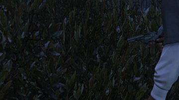 Colt Python .357 Magnum - GTA5