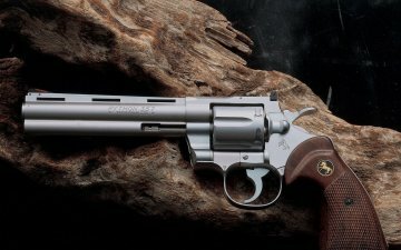 Python .357 Magnum CT6