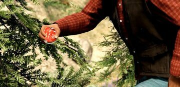 Pokeballs Mod - GTA5