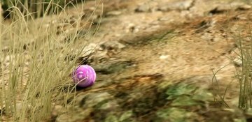Pokeballs Mod - GTA5