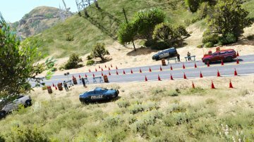 LSPD Highway Checkpoint (animé) - GTA5