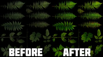 Vegetation Edit - GTA5