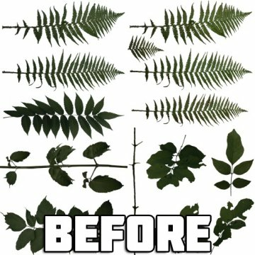 Vegetation Edit - GTA5