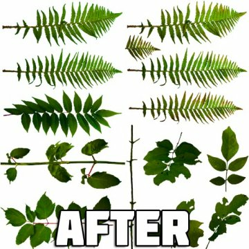 Vegetation Edit - GTA5