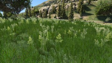 Grass Texture Mod - GTA5