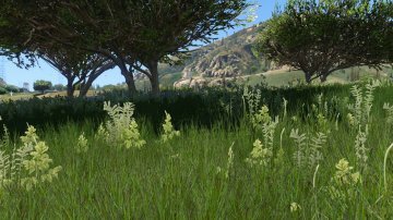 Grass Texture Mod - GTA5