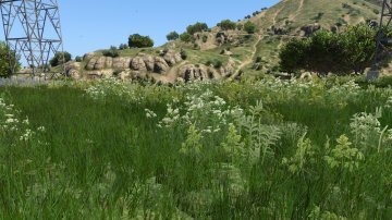 Grass Texture Mod - GTA5