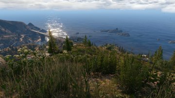 Enhanced 4K Vegetation/Trees Mega Pack - GTA5