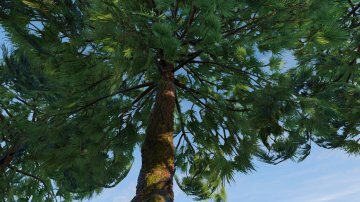 Enhanced 4K Vegetation/Trees Mega Pack