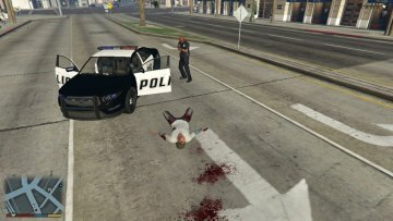 Player Injury Mod - GTA5