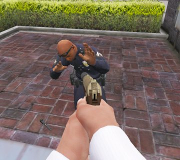 Cop Surrender - GTA5