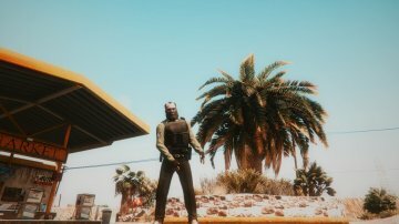 V Visual Enhancer - GTA5