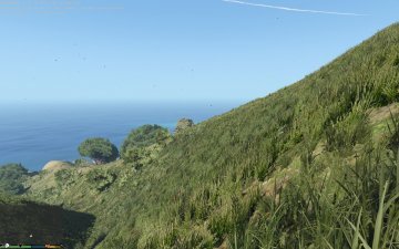 L.A. Vegetation - GTA5