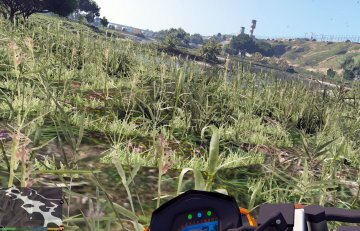 L.A. Vegetation - GTA5