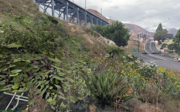 L.A. Vegetation - GTA5