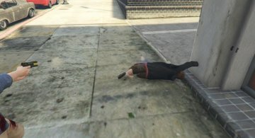 Defibrillator - GTA5