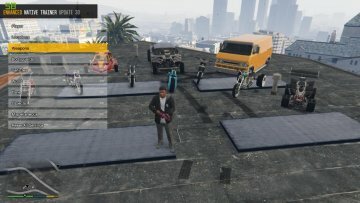 Enhanced Native Trainer