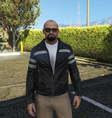 Pack Barbe Trevor - GTA5