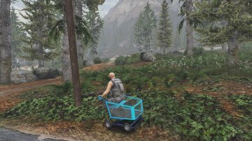 Shopping Cart - Fun Vehicle [Add-On / Replace] - GTA5